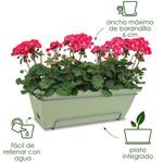 barcelona allin1 50cm honey yellow